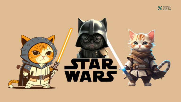 Funny Star Wars Cat Names