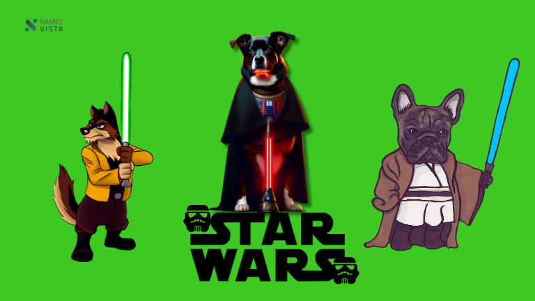 Funny Star Wars Dog Names