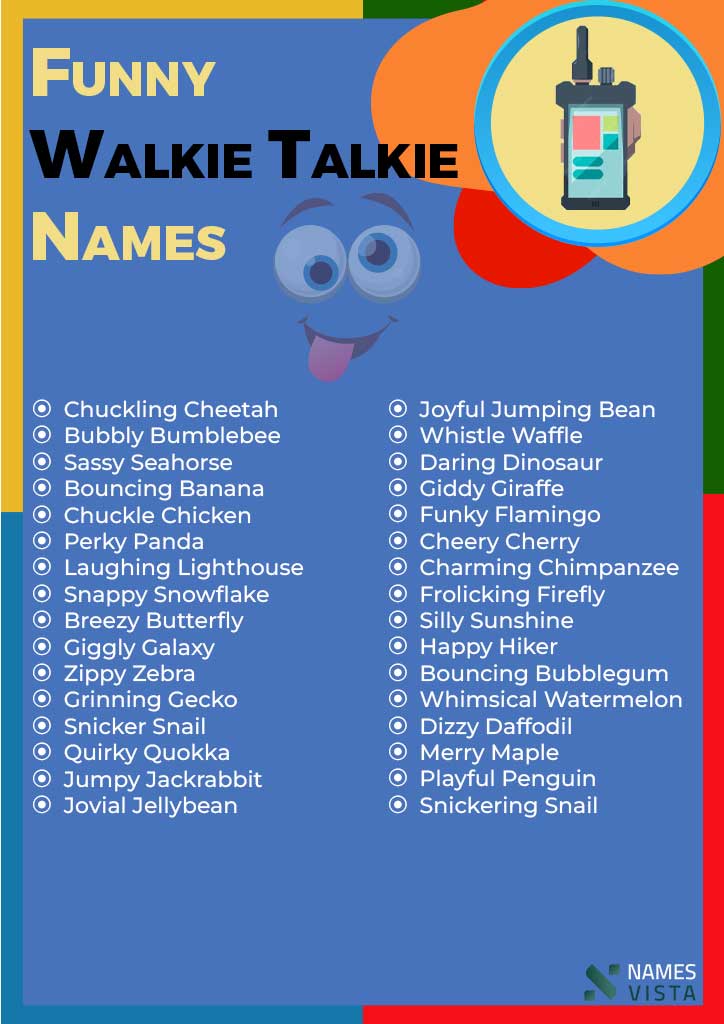 Funny Walkie Talkie Names infographic