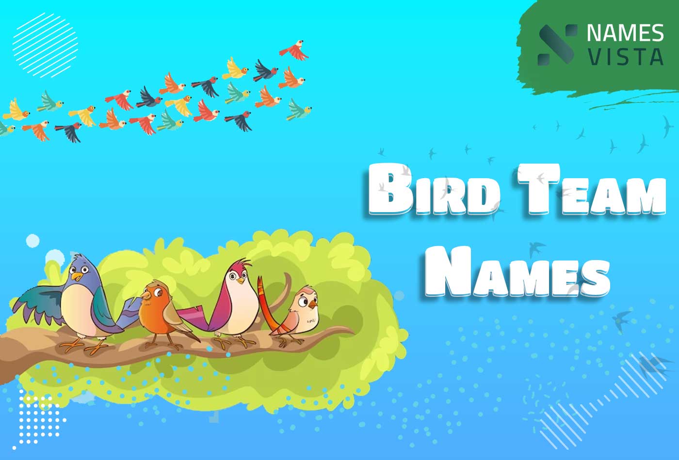 Bird Team Names 310 Cool Funny Ideas 