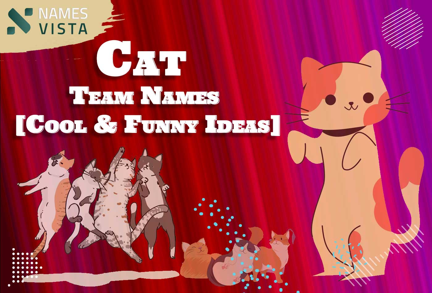 360 Cat Team Names Cool Funny Ideas 