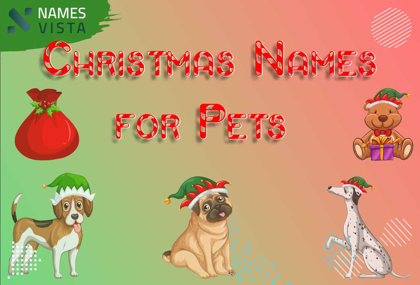 Christmas Names For Pets 350 Unique Ideas 