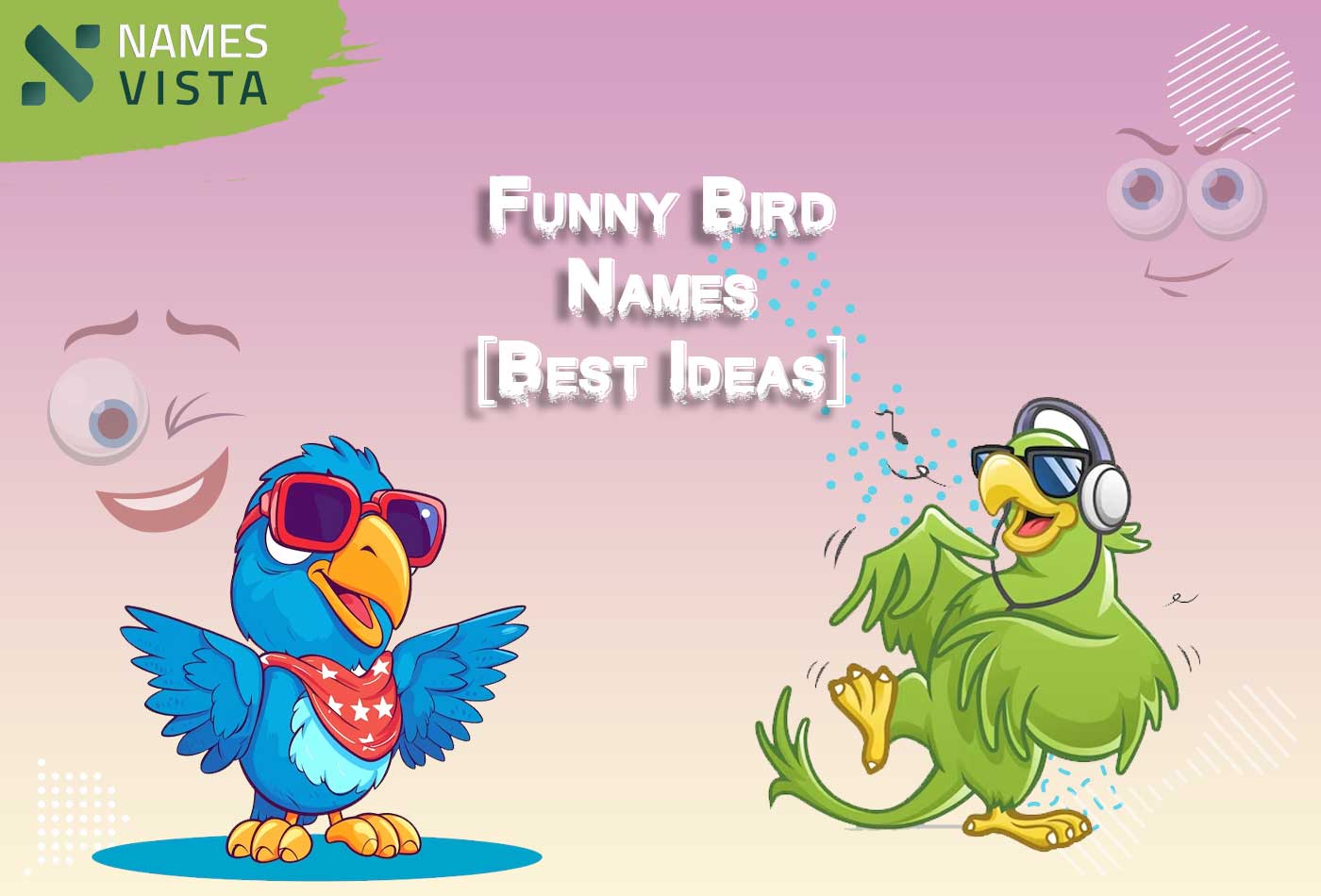 670 Funny Bird Names Best Ideas 