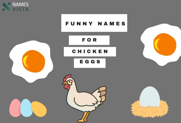 110+ Funny Names for Chicken Eggs