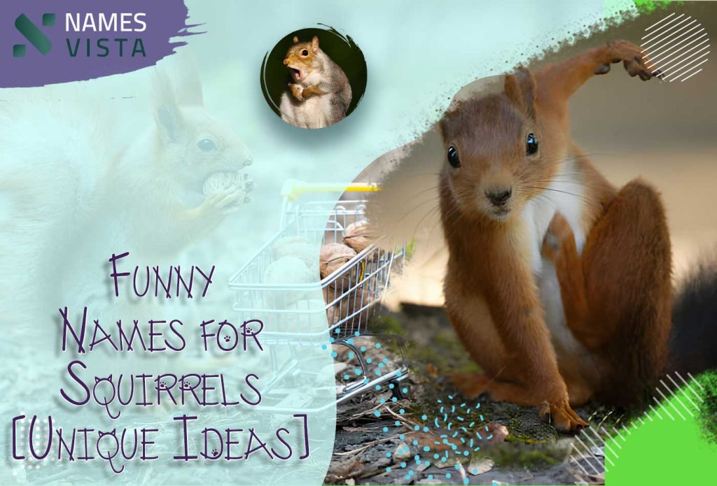 funny names for squirrels