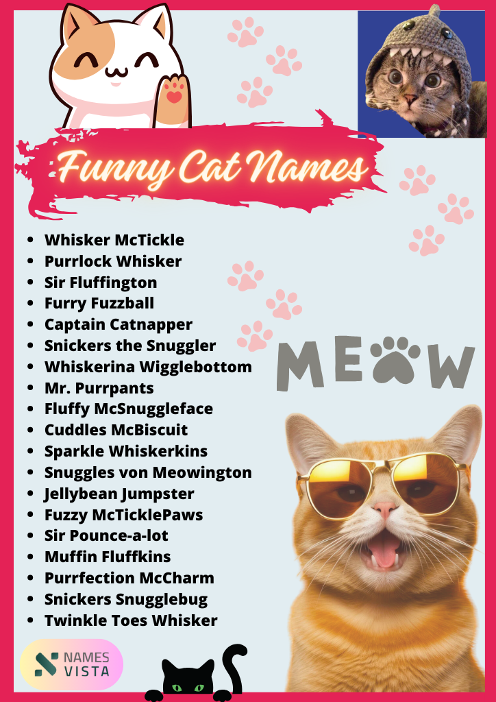 620+ Funny Cat Names [Unique Ideas]