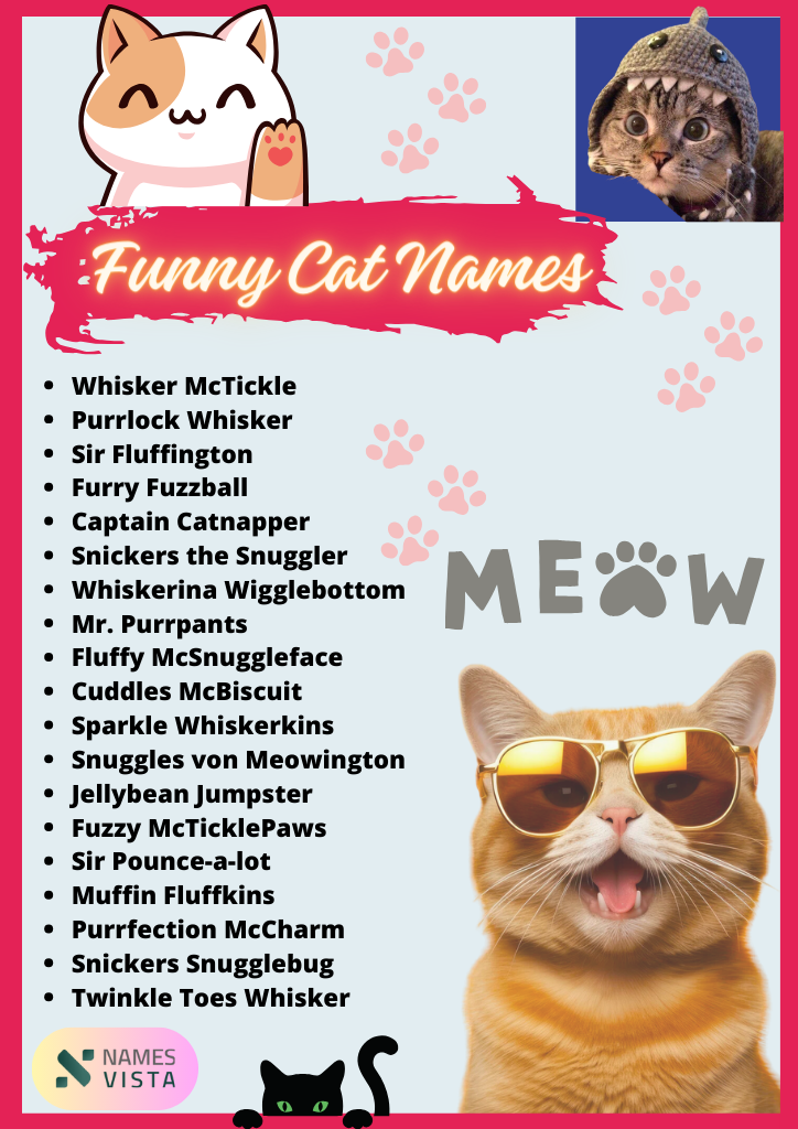 620 Funny Cat Names Unique Ideas 