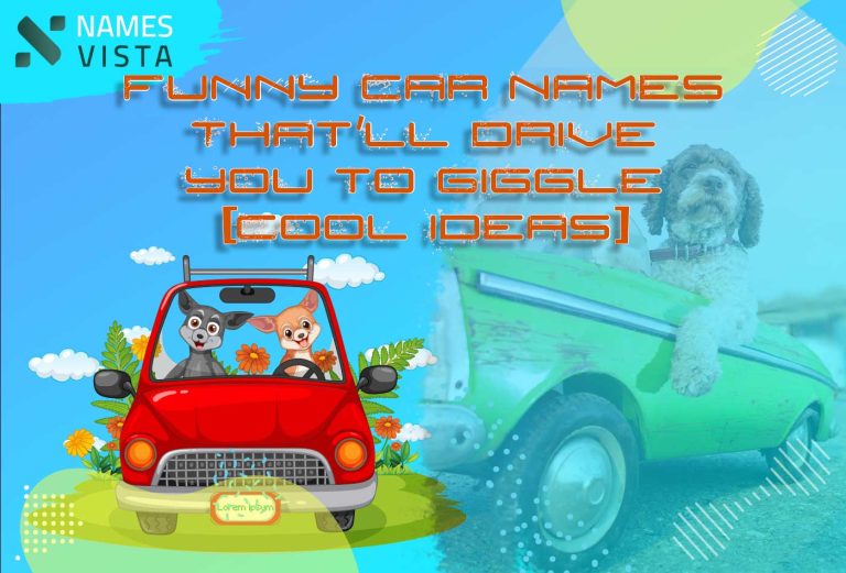 Funny Car Names That ll Drive You To Giggle Cool Ideas 