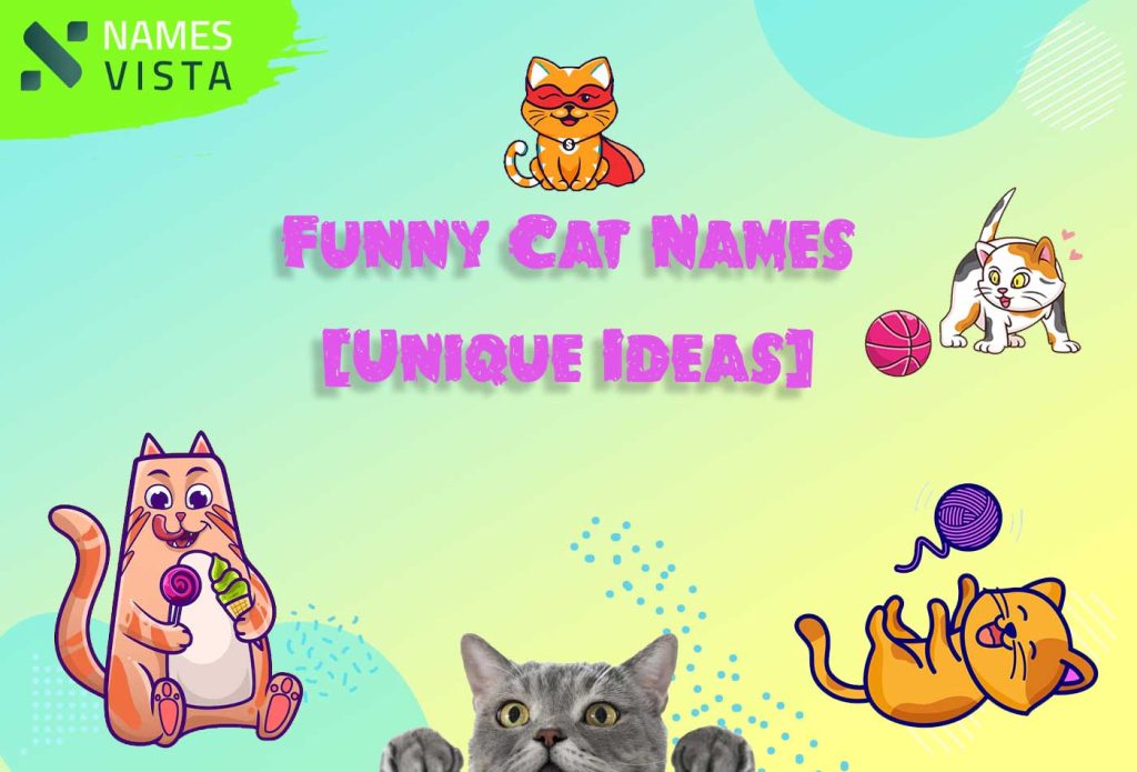 620+ Funny Cat Names [Unique Ideas]