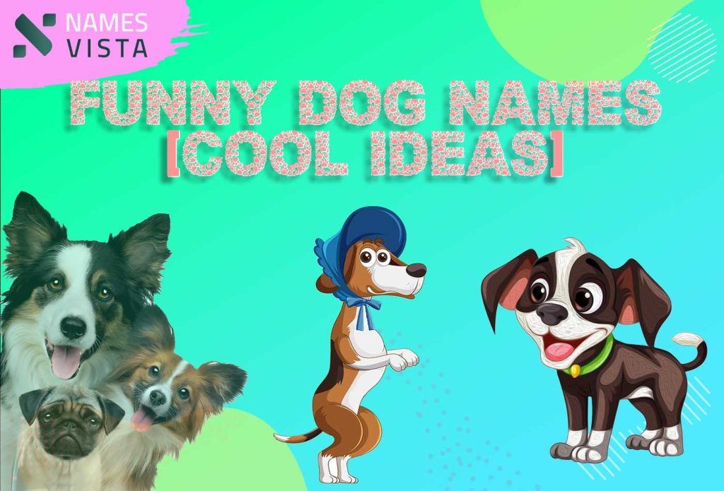 450+ Funny Dog Names [Cool Ideas]