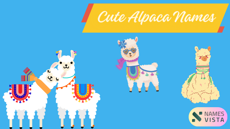 Cute Alpaca Names