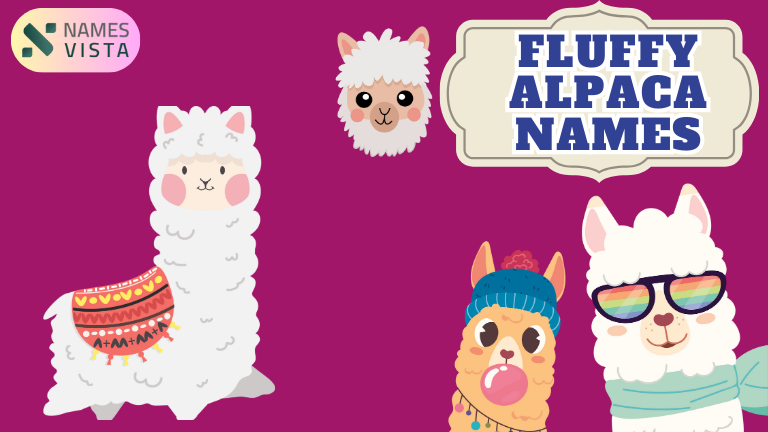 Fluffy Alpaca Names