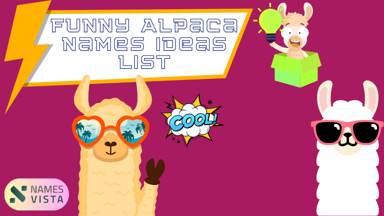 Funny Alpaca Names Ideas List