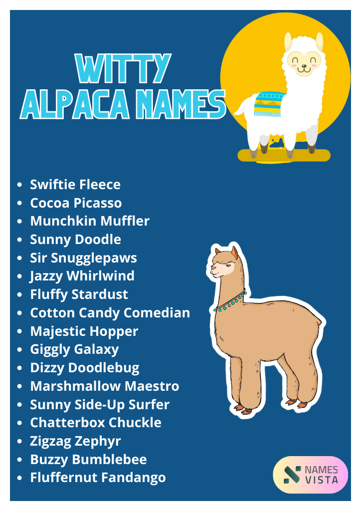 Funny Alpaca Names infographic