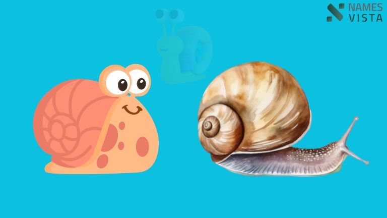 Funny Names for Sea Snails