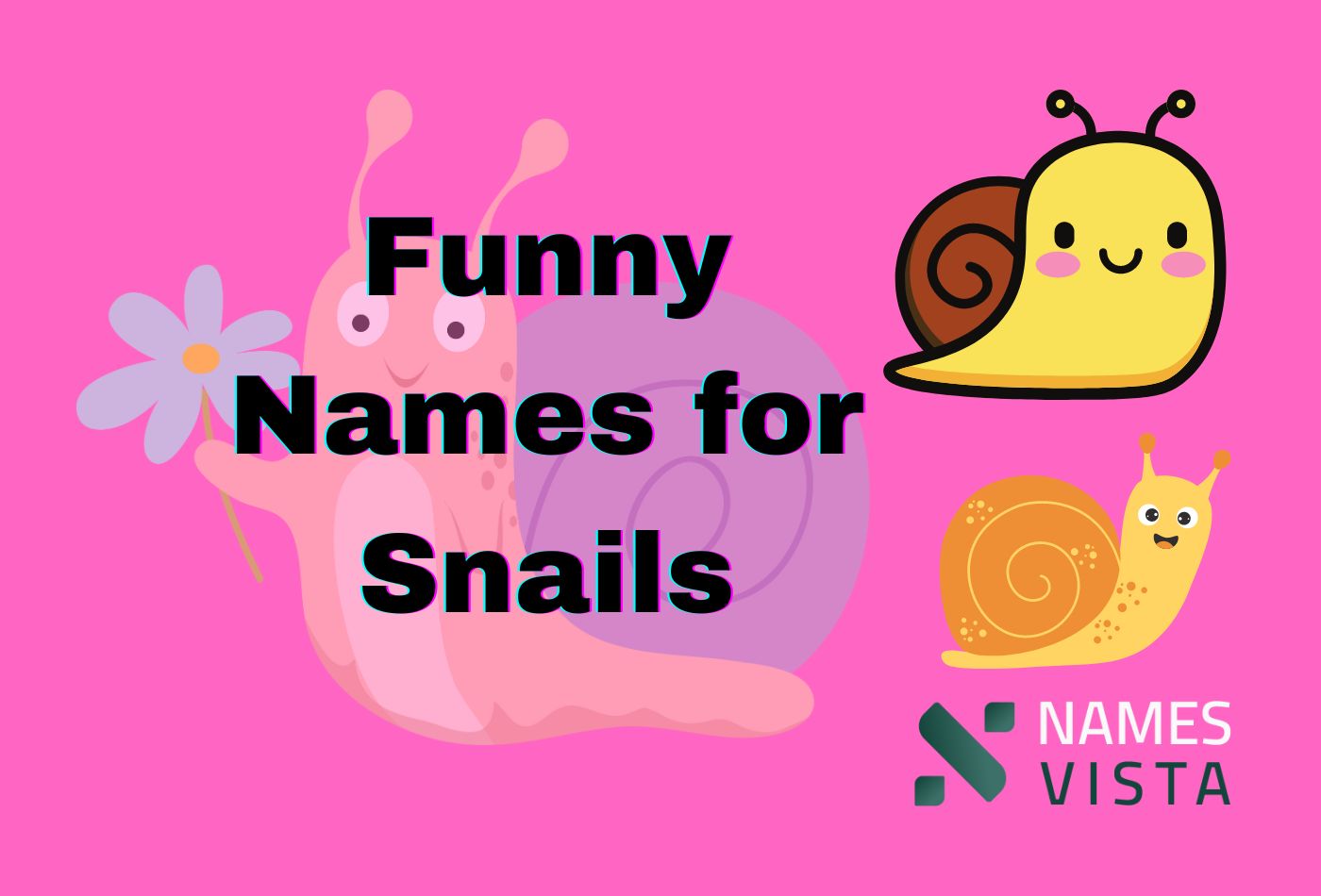 290 Funny Names For Snails