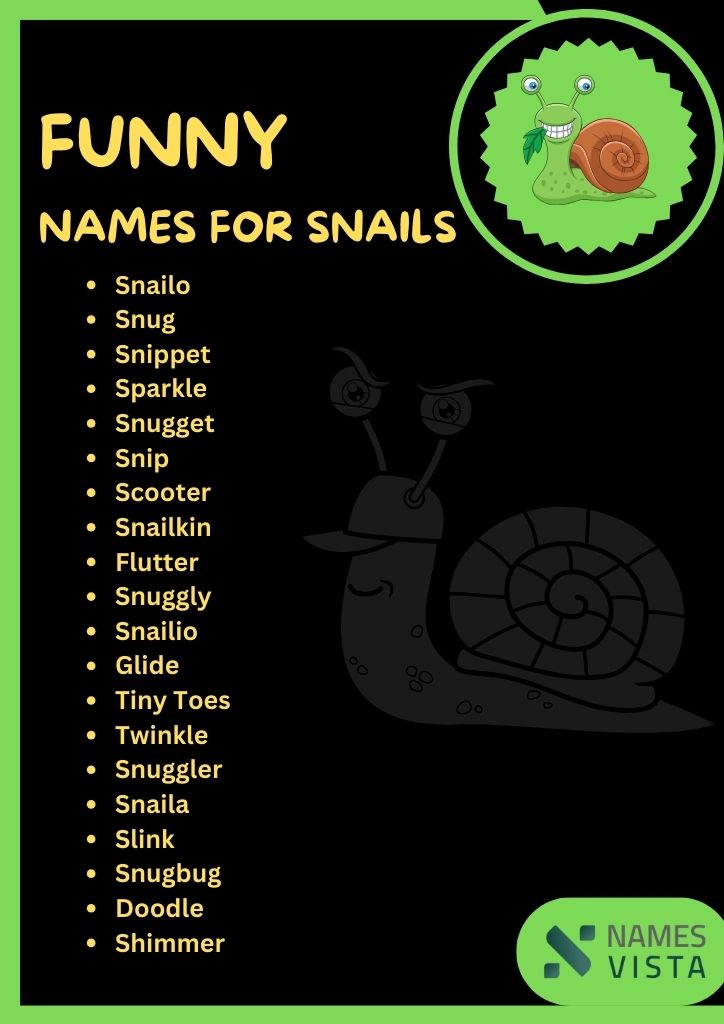 Funny Names for Snails Infographic