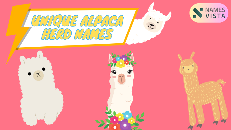 Unique Alpaca Herd Names