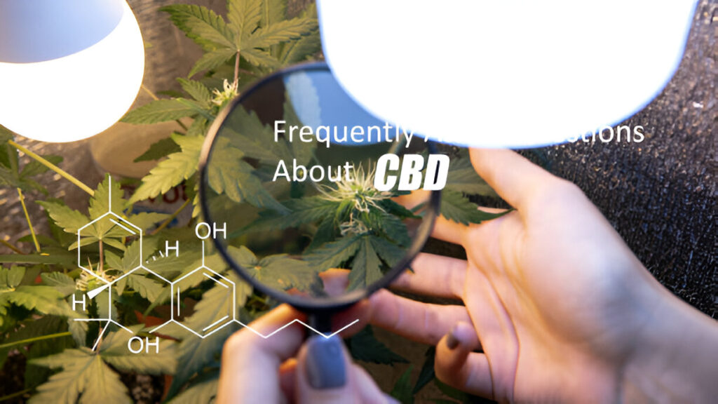 Best CBD