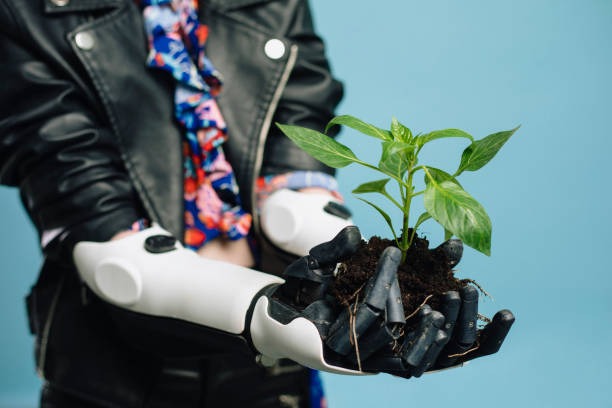 Plant-Powered Performance: Enhancing Focus and Well-Being with Botanical Nutrients Plant-Powered Performance: Enhancing Focus and Well-Being with Botanical Nutrients